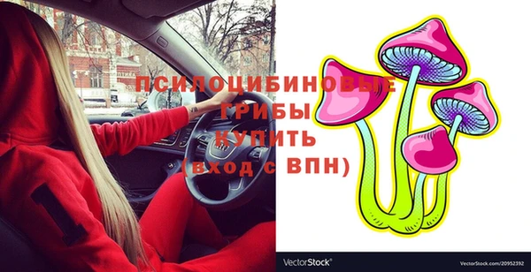 стаф Барнаул