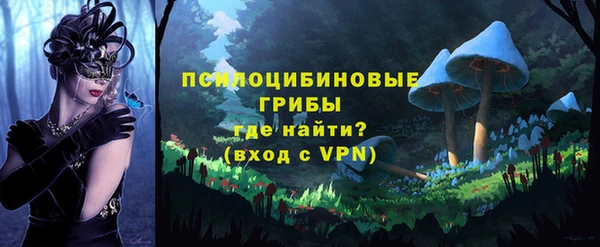 spice Михайловск